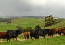 Be prepared for the good and the bad