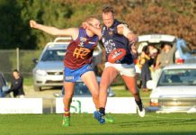 Lions lose by whisker