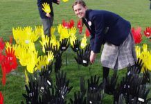 Sea of hands for solidarity