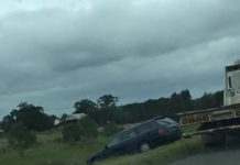 Frogs growl as they lose their cover