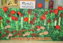 Poppies are a winner with Anzacs