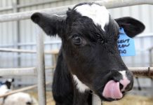 China deal benefits region