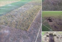 Police dig deep for culprit