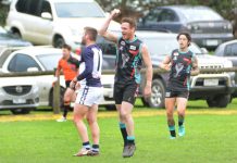 Go on grab the Cobra by its tail