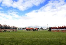 All roads lead to the Cobradome