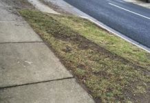 Hoons are all around