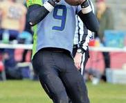 Silverbacks spit feathers