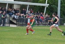 Still waiting to see Doves fly