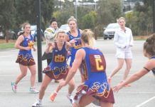 Redbacks show their backbone