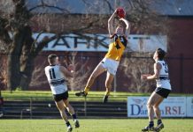 Rising ‘Rays are turning heads