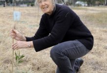 Creek’s a little greener thanks to hands-on helpers
