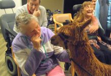 Residents up close with Kahlua