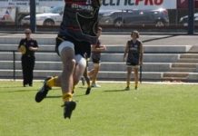 A fever of Stingrays