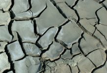 Hot climate pattern returns