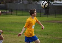 Cougars go (Pine) nuts