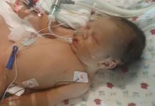 Heartfelt for Elijah