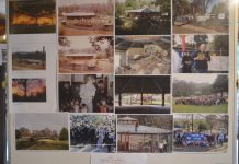 Shelter from the storm