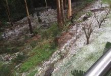 It’s the Facebook freeze