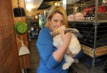 Carolyn’s crazy over bunnies