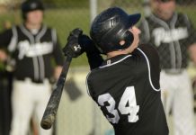Pumas bask in the sun