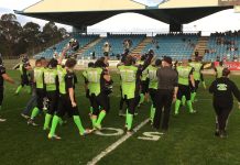 Welcome to the Jungle