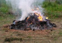 Burning off change is in the wind