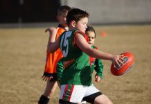 Seagull soars high against the wind