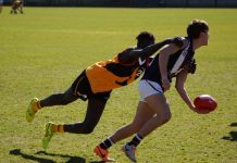 Stingrays stave off Dragons attack