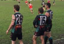 Can the Cobras be tamed?