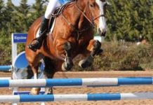 Ashleigh’s up there with the best