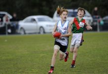 Awards for sterling service