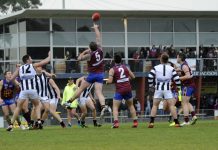 Rumours wrong, says Lions president