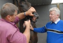 Leek’s Spirited defence after cobalt scandal