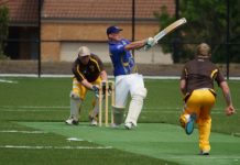 Vikings roll out the green carpet