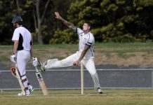 Bulls in the box seat