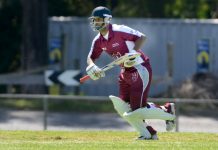 Lions show early form