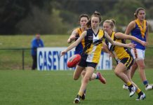 Stingrays academy spoilt for choice