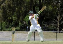 Spicer notches tasty 150