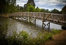 Music program doesn’t miss a beat