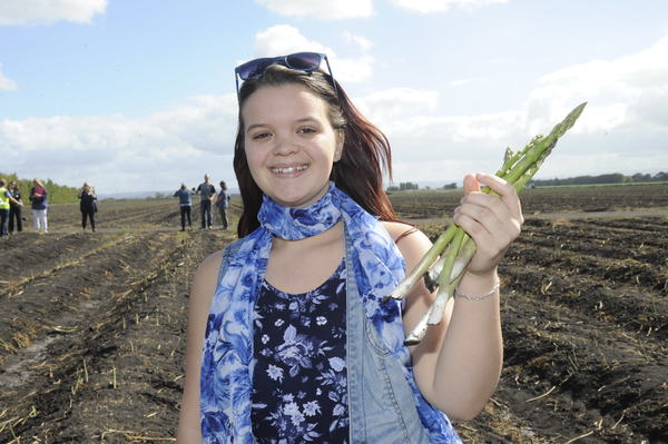ASPARAGUS_149676_01.JPG