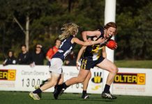 Trip of a lifetime for Young