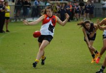 Fresh faced Rays battle bravely