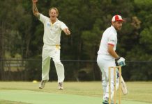 Bats key to grand final glory