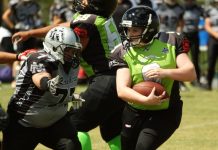 Silverbacks touch down