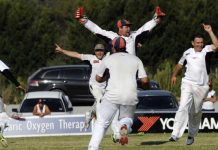 Lions v Demons: bring it on