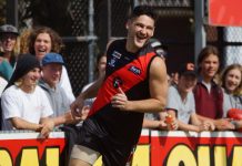 Unbeaten Doves sign Fevola