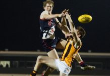 Scorpions show heart and pride