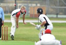 Seagulls’ favourite son returns