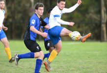 Cougars come back with a vengeance