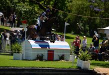 Adieu to Rio after minor horse injury